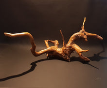 Cargar imagen en el visor de la galería, Raiz