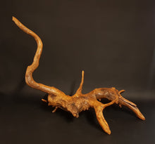 Cargar imagen en el visor de la galería, Raiz